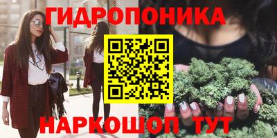 PSILOCYBIN Аргун