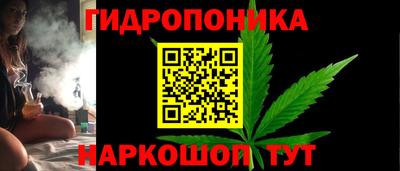 крисы Канаш