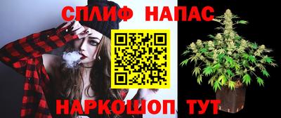 spice Апшеронск