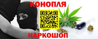 крисы Канаш