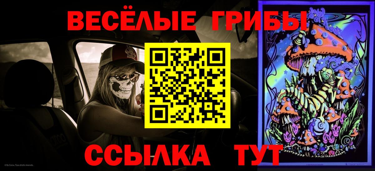 Псилоцибиновые грибы Magic Shrooms Менделеевск