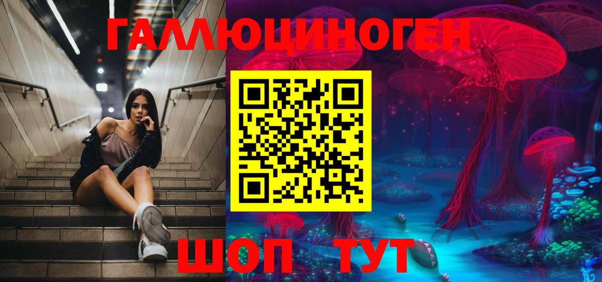 Менделеевск  Псилоцибиновые грибы GOLDEN TEACHER  Вход с VPN 
