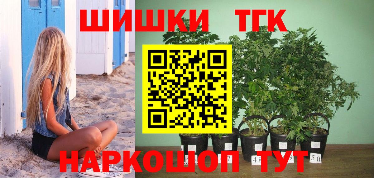 Конопля сатива Менделеевск